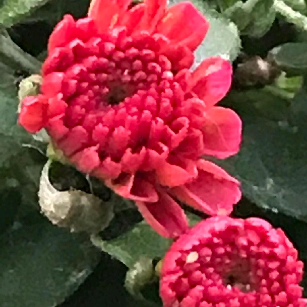 幸福一家人🙂