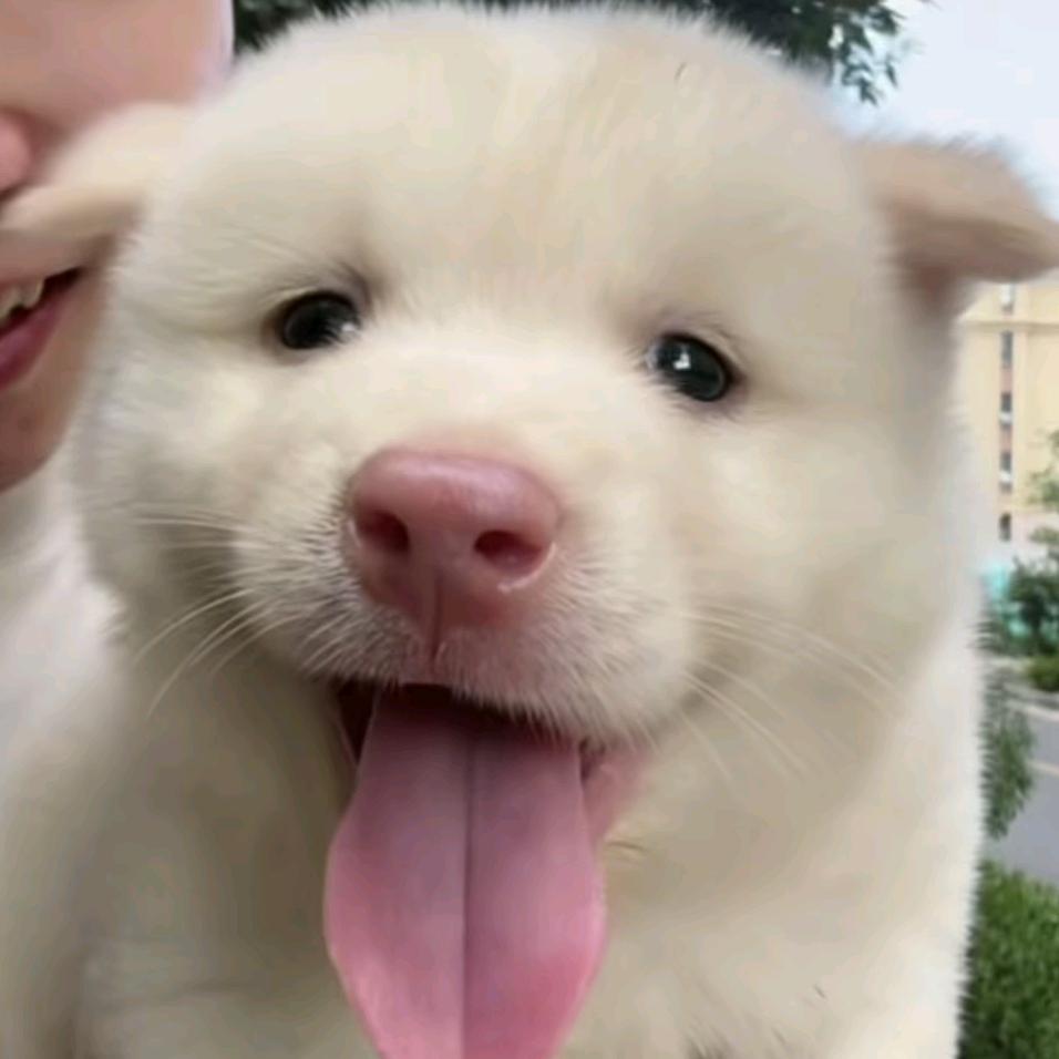 求遇到岑溪ut入。