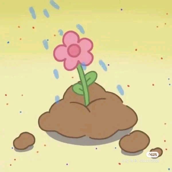 天生好命的女人