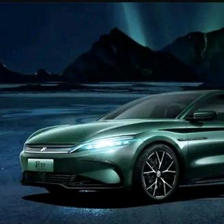 暗香疏影-虎哥生活