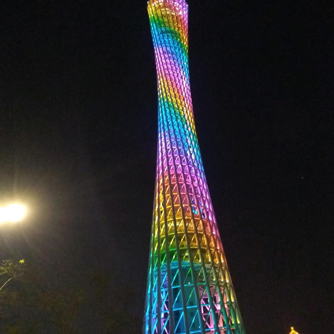 龙哥的天下