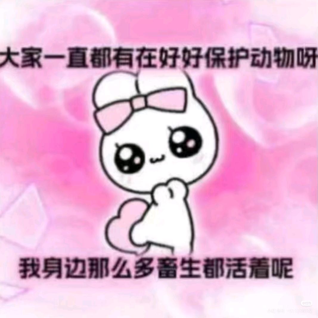 星星✨