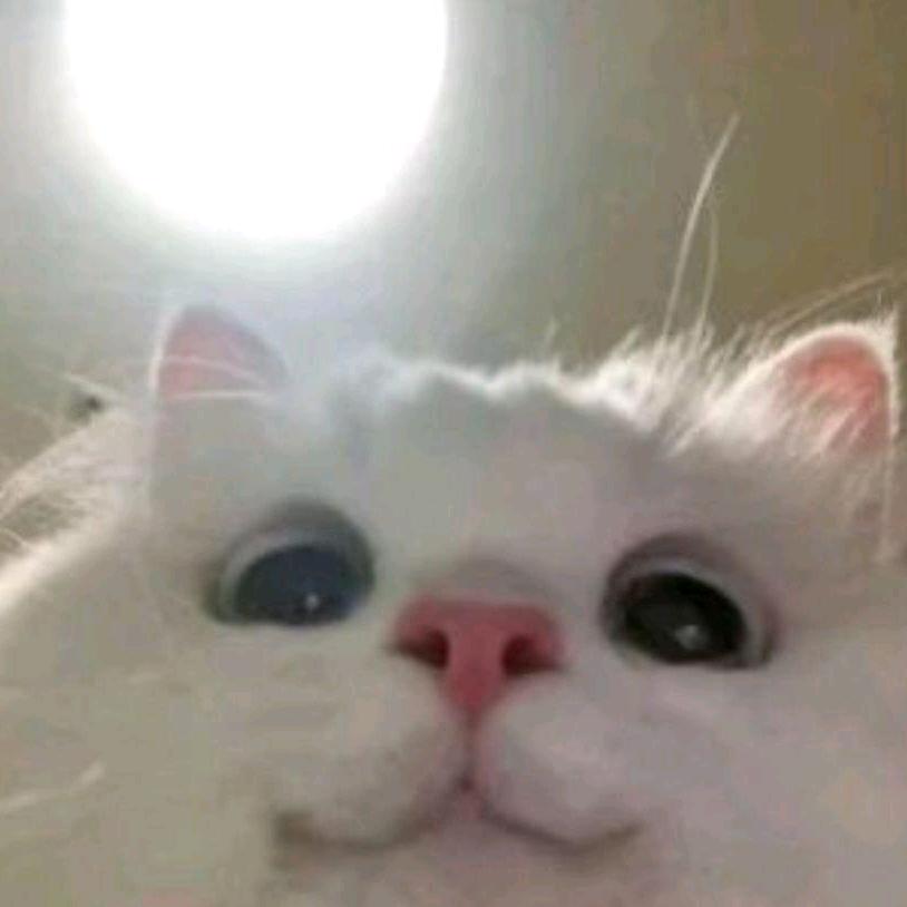 学徒