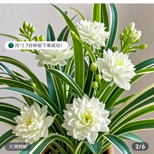 越来✌️❤️越好❤️✌️