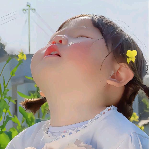 十一妙妙屋