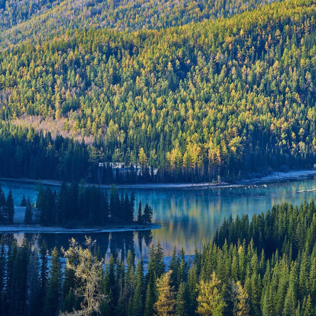 ....................