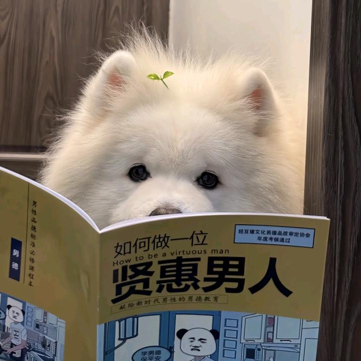 不要叫我买期权