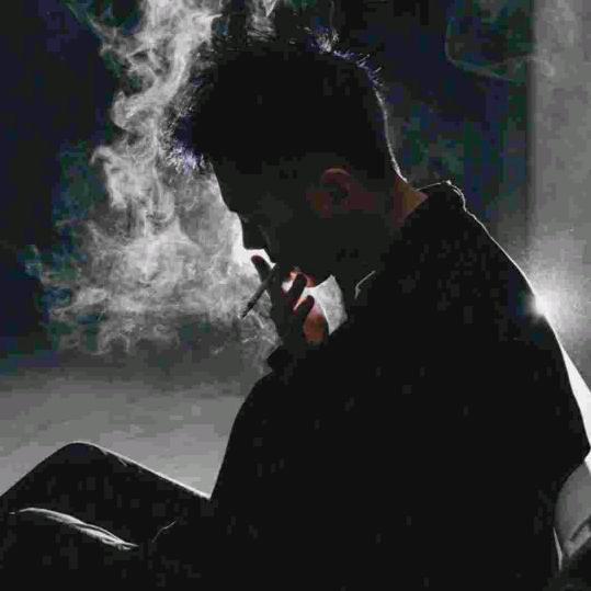 鱼的故事