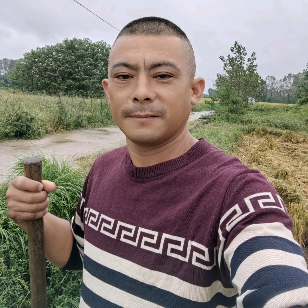 吴阳集三哥。专业做虾苗，种虾。