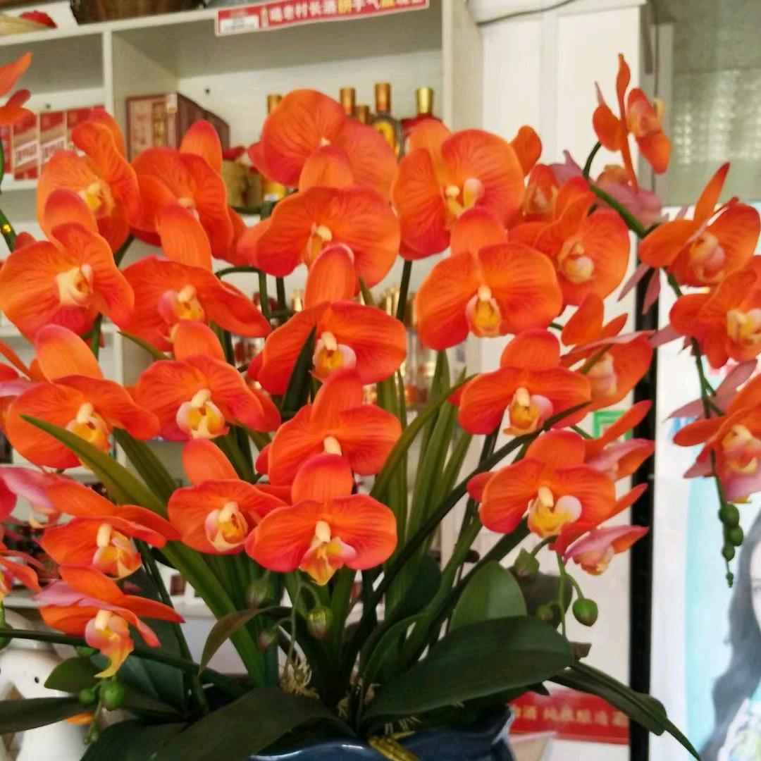 开心过好每一天