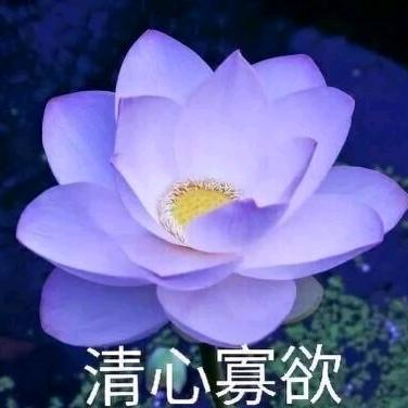 弔懋