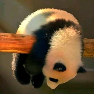 休闲一刻