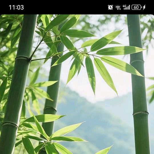 浅唱寂寞～