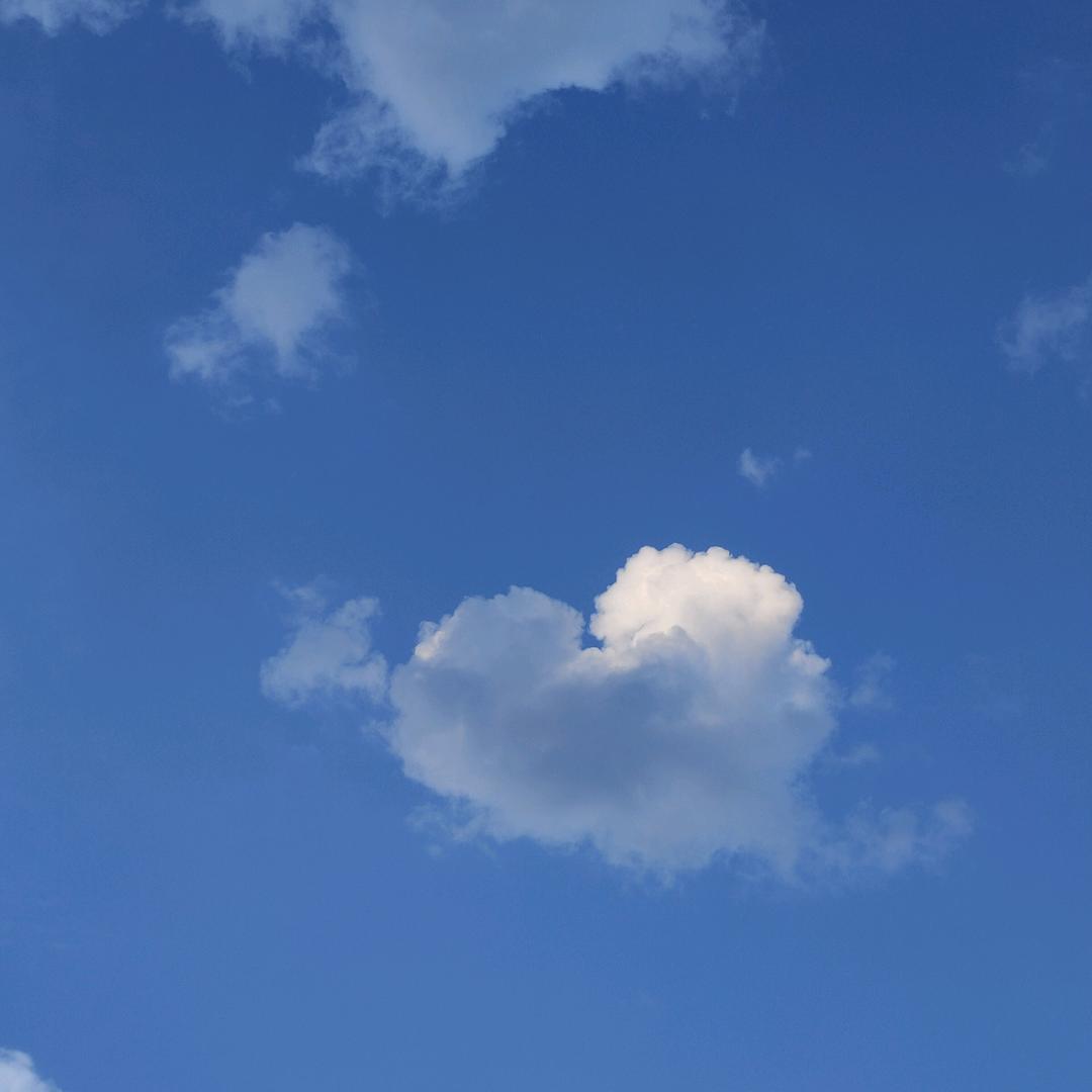 彤❤️