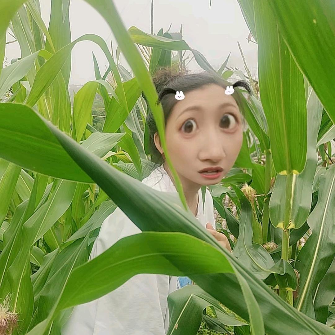 ye小醉