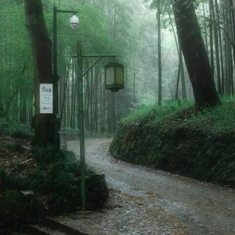 枕山栖谷（在成都的命理青先生）