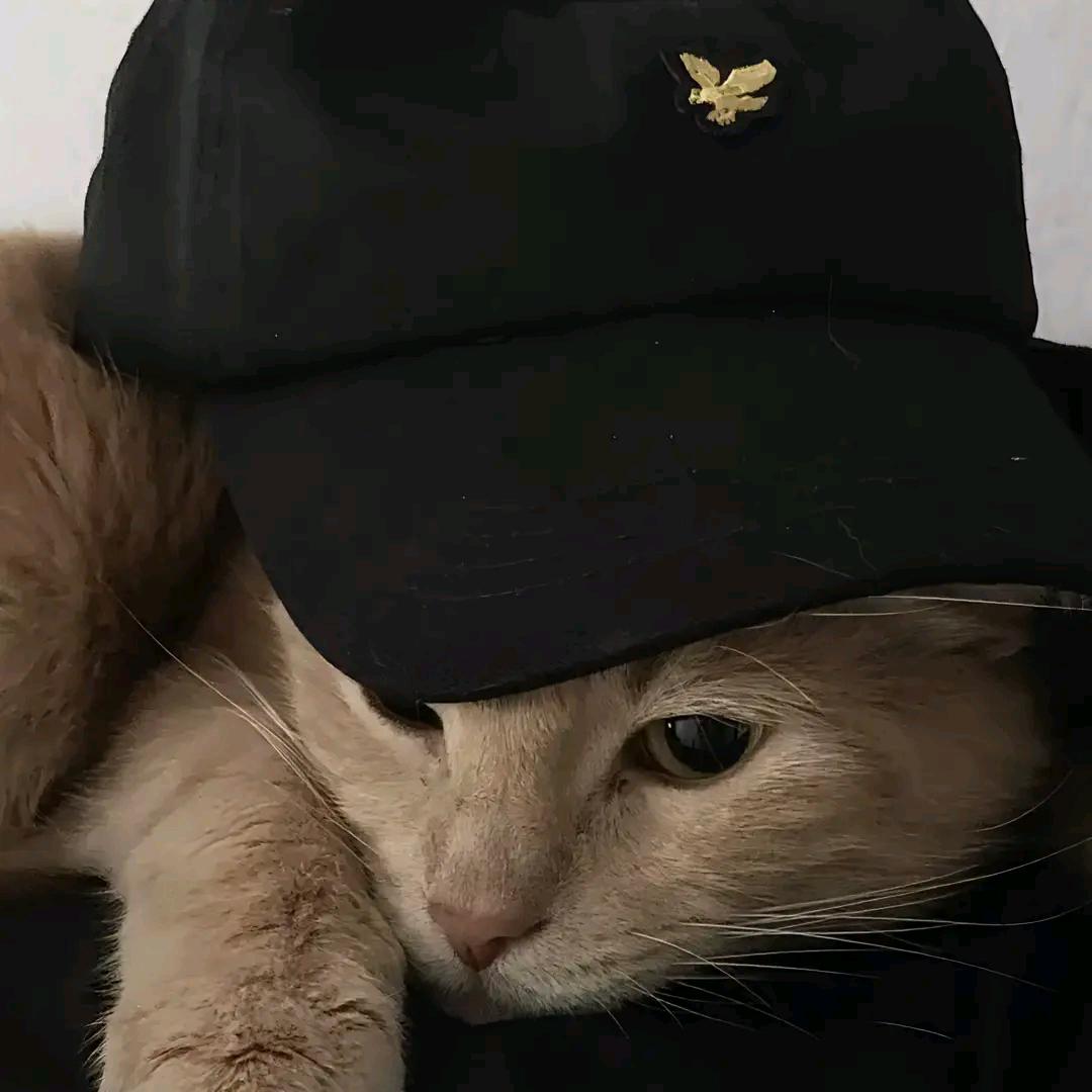 Vaibae