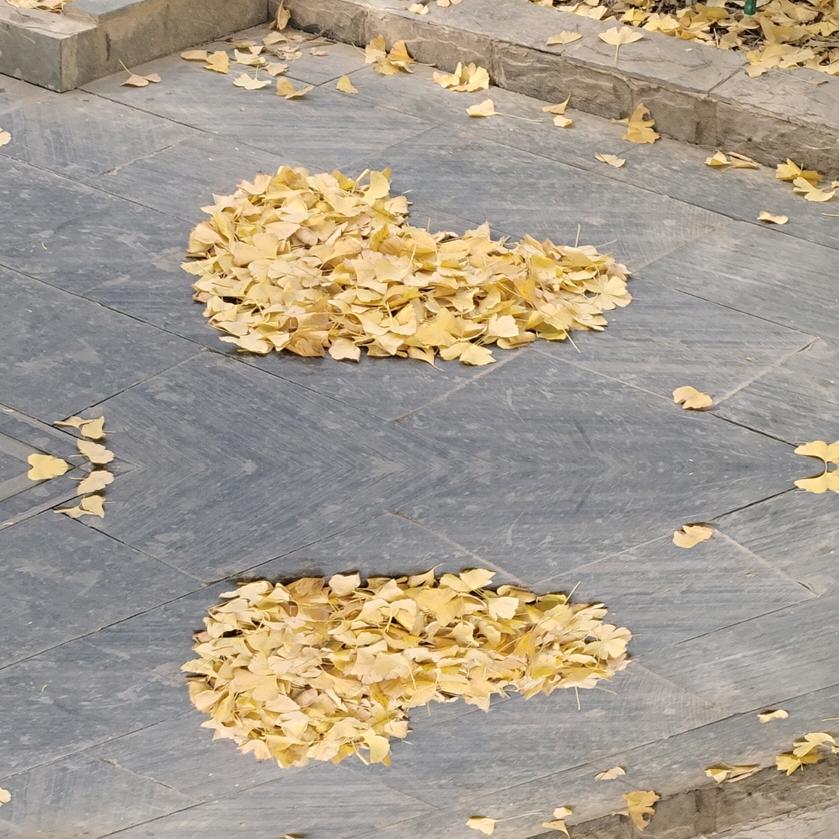 贵州黎平 （最爱拿铁咖啡）