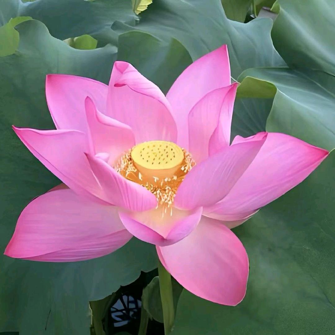 何