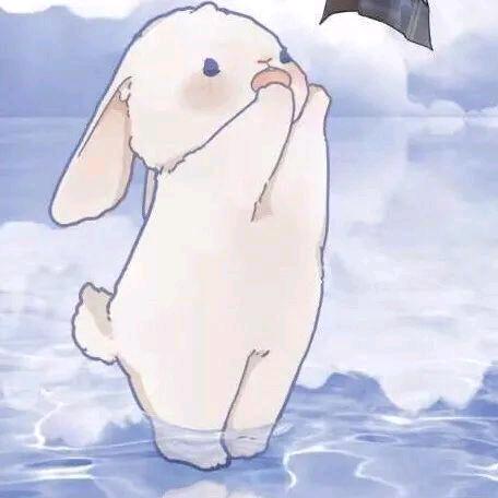 好好想想🌙