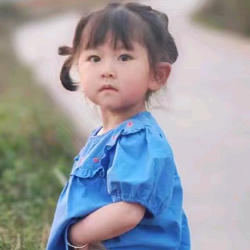 小洪燕