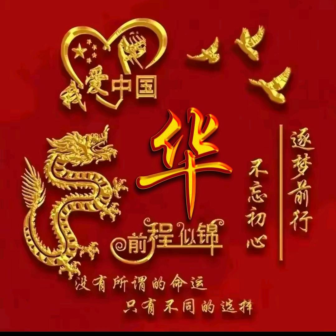 一心向阳🔥