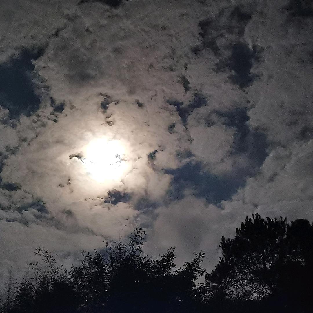 星星月亮