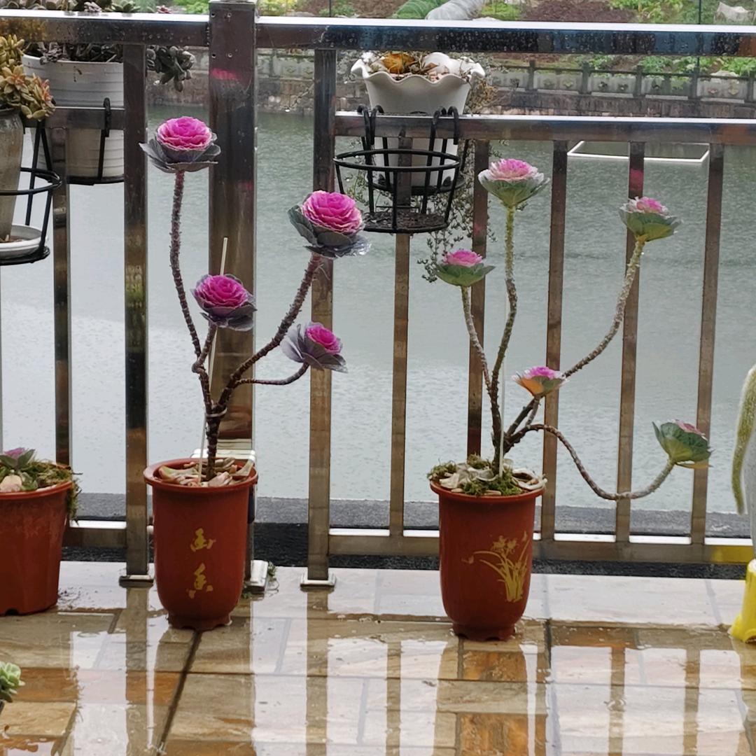 李芳