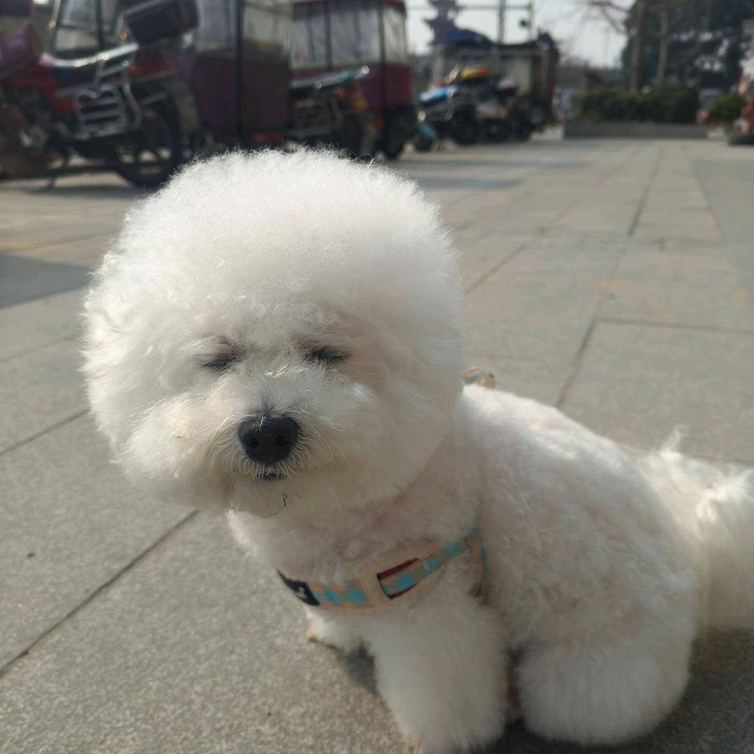 超可爱萌萌