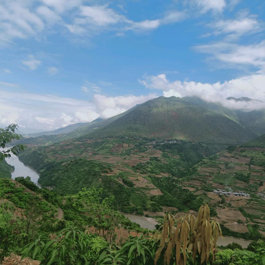 时光静好不曾惜，繁华落尽终是悔。