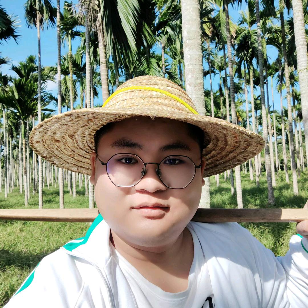 海南新农人龙哥