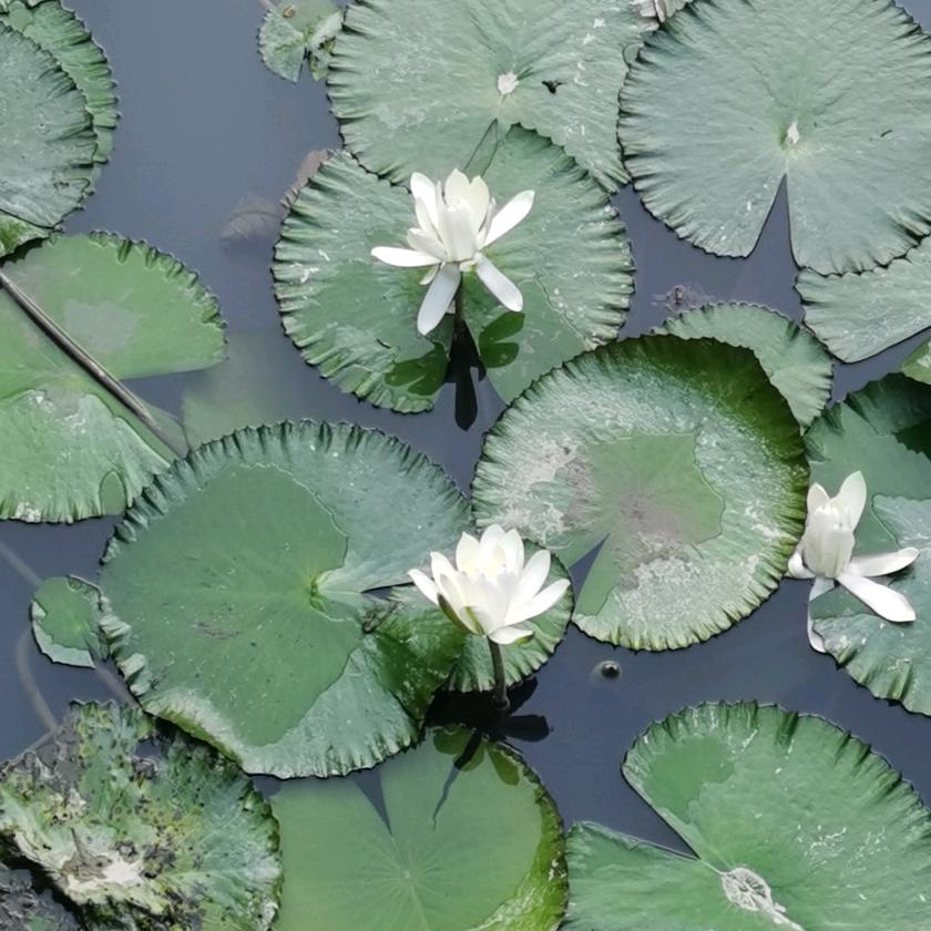 纯姐甄选坊