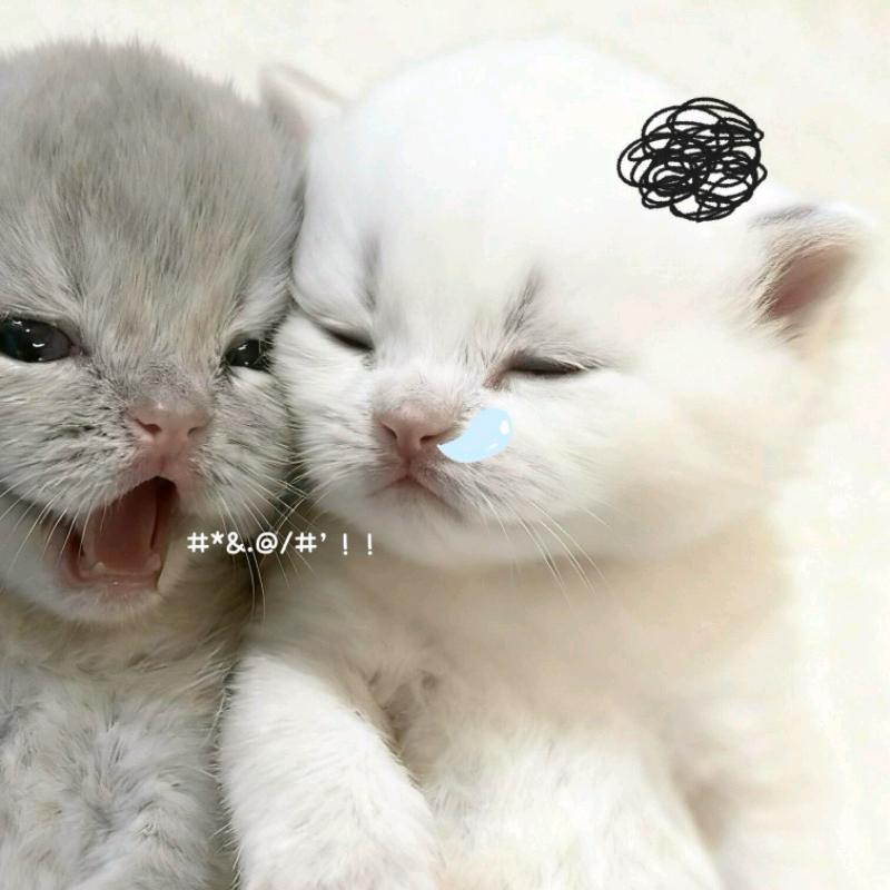 暗恋甜筒