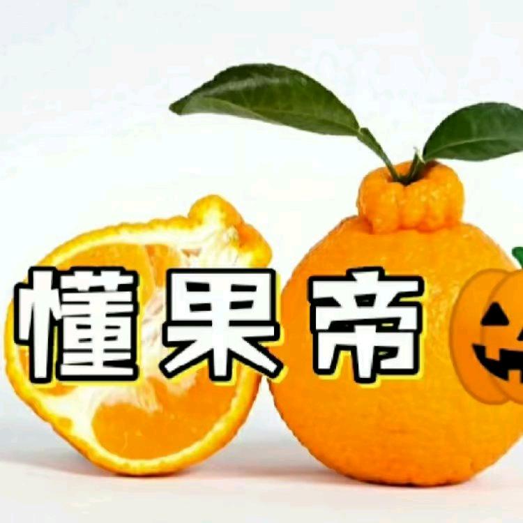 懂果帝