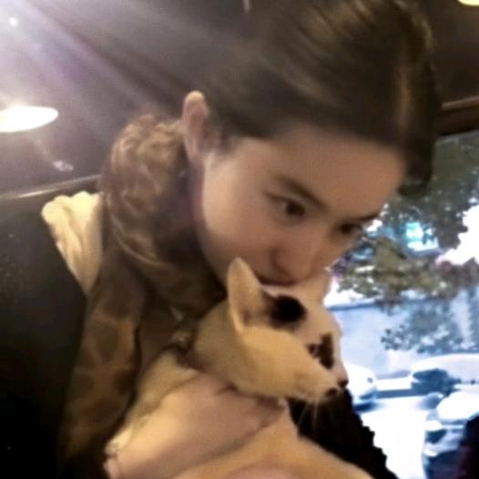 会劈叉小狗suoò