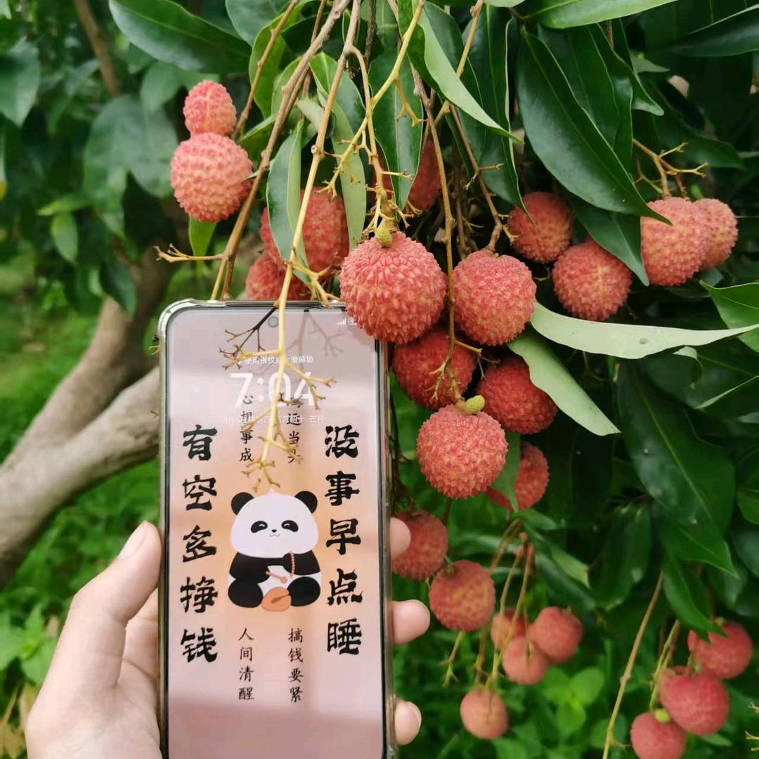 一两清风丶