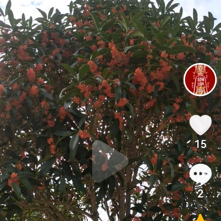 用户723503大海：