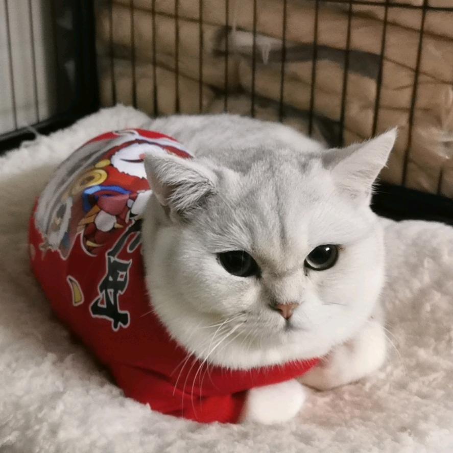 她们的店