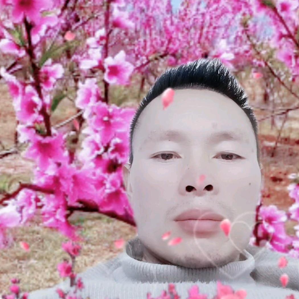 李碧宣