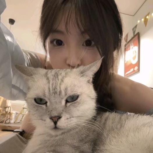 糕冷