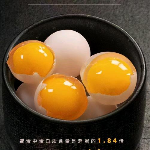 叶氏龟鳖水产精选