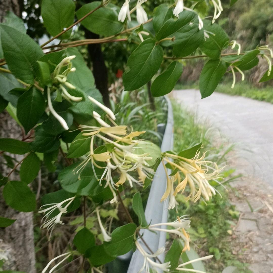 珍惜光荫-与善有缘