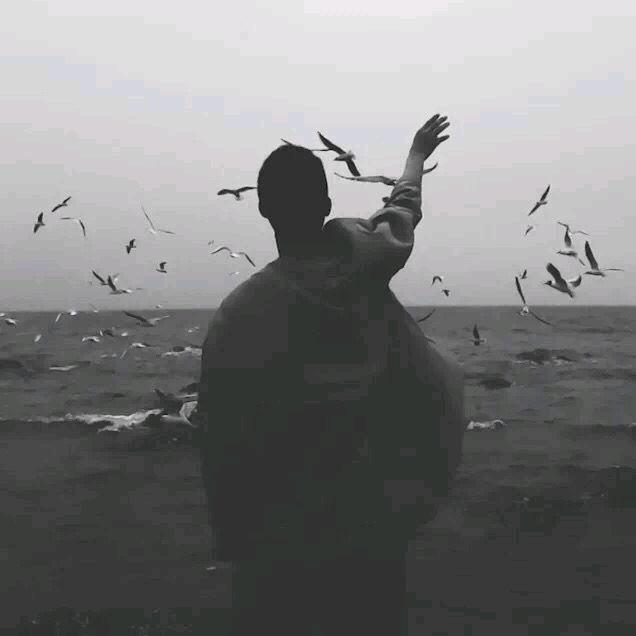 悲伤玉米牛肉汤