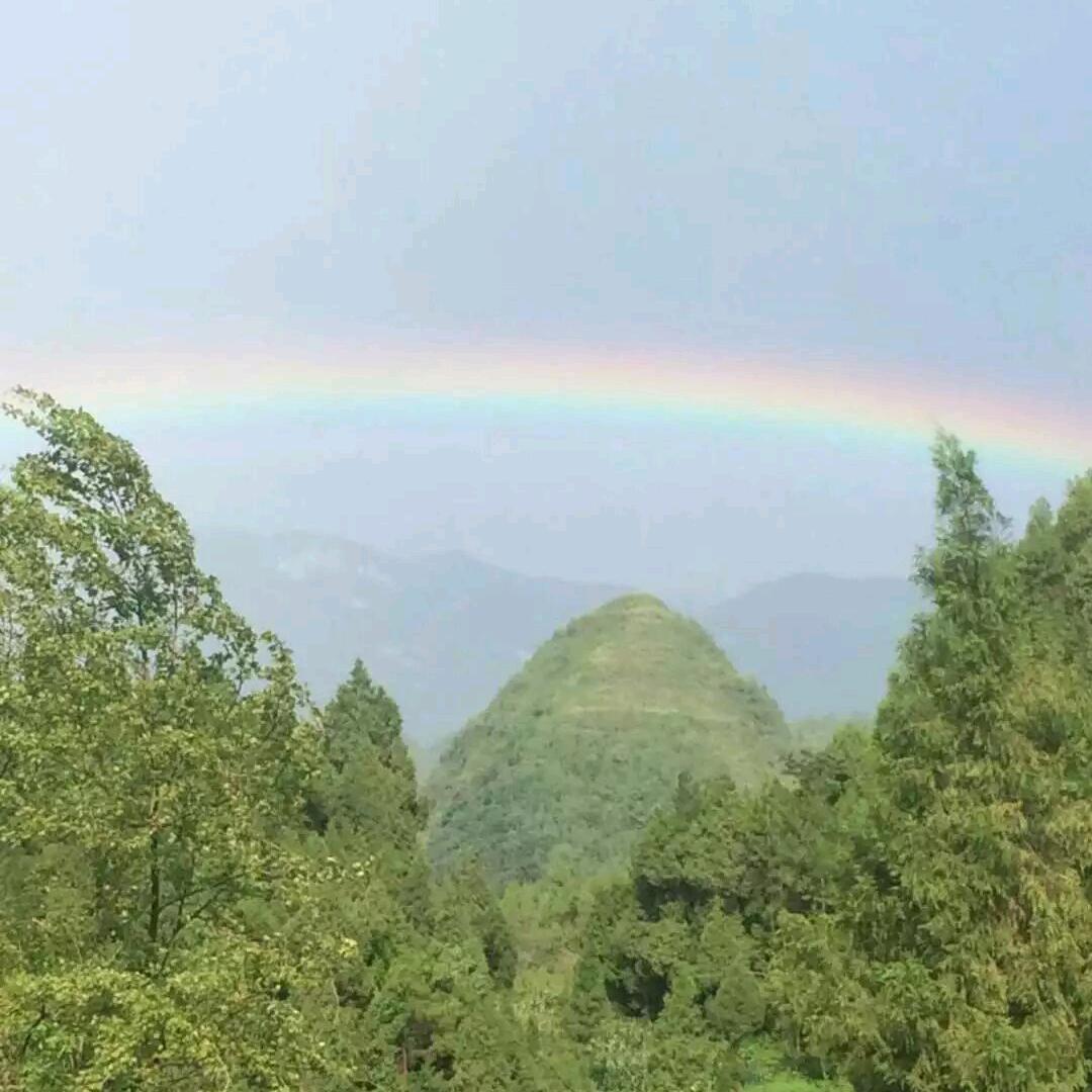 1＋1＝👨‍👩‍👧‍👦