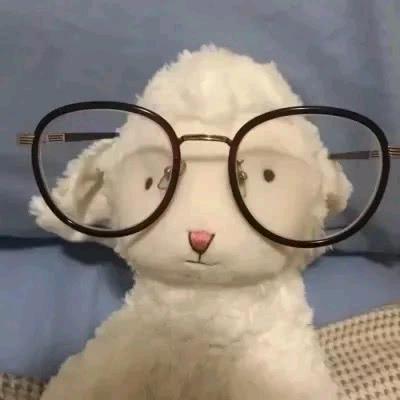 YY.