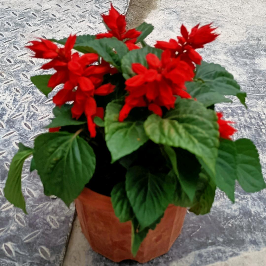 এ᭄断情ꦿ꯭ꫛ戒爱ꫀꪝ