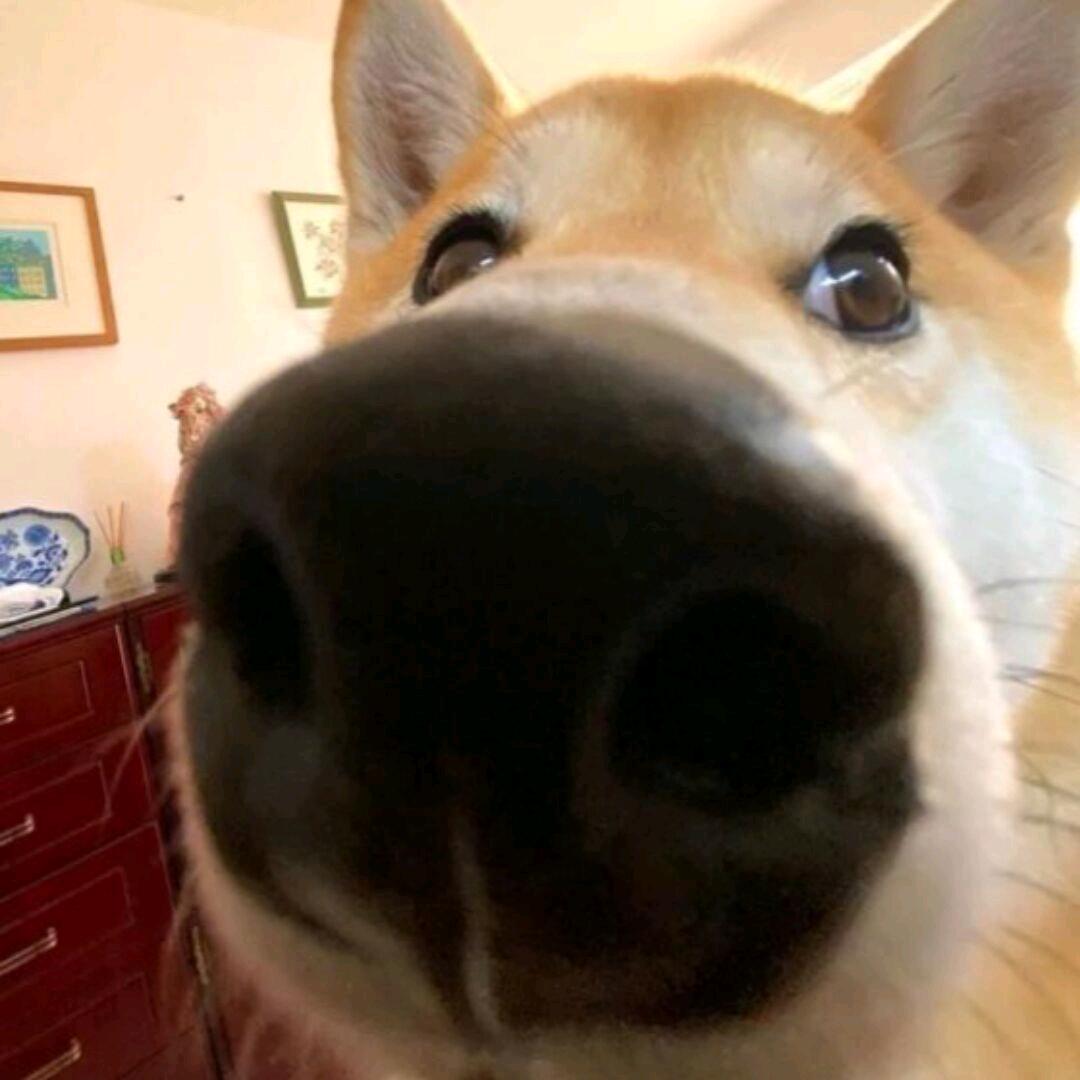 抽子6