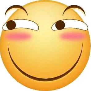 九妹快乐日常