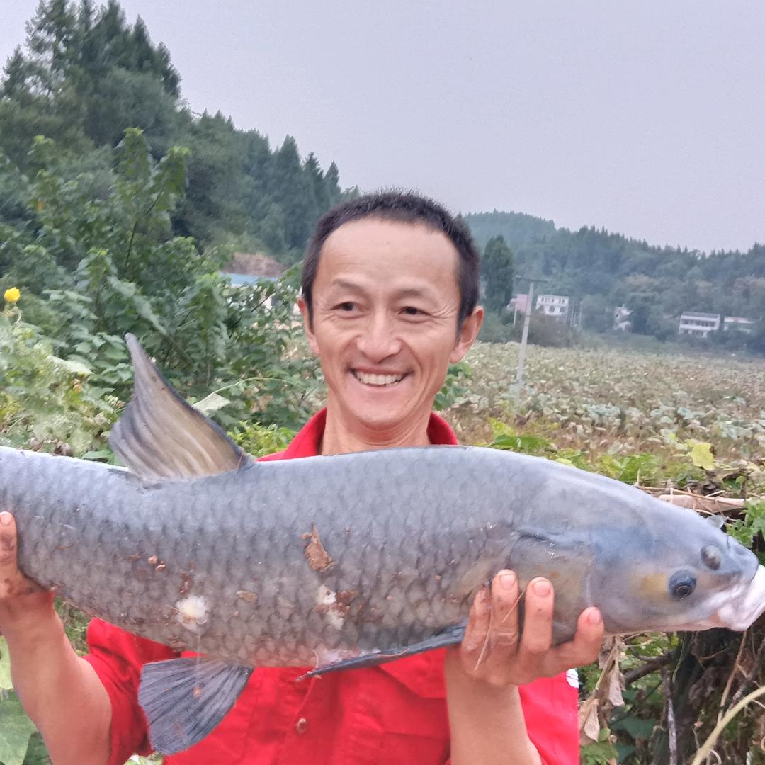 华子哥