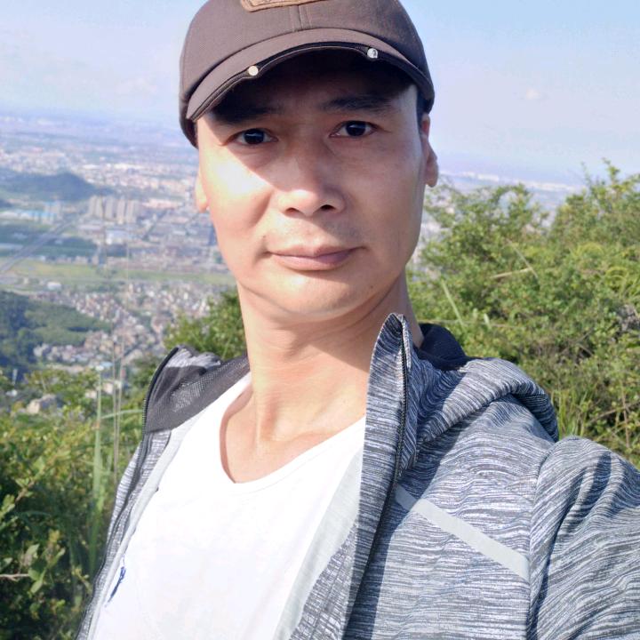 无极松